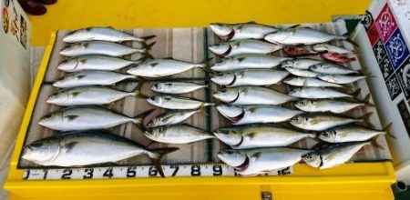 火遠理丸（ほおりまる） 釣果