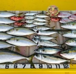 火遠理丸（ほおりまる） 釣果