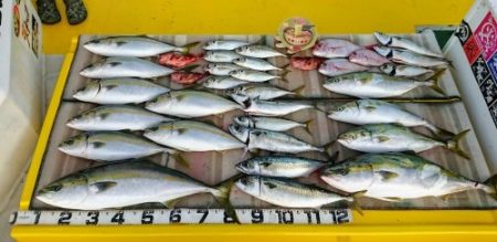 火遠理丸（ほおりまる） 釣果