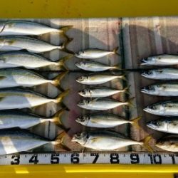 火遠理丸（ほおりまる） 釣果