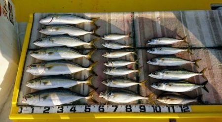 火遠理丸（ほおりまる） 釣果