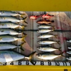 火遠理丸（ほおりまる） 釣果