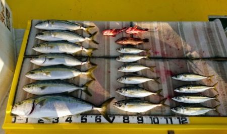 火遠理丸（ほおりまる） 釣果