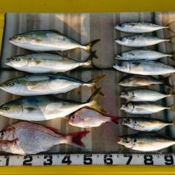 火遠理丸（ほおりまる） 釣果