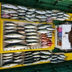 火遠理丸（ほおりまる） 釣果