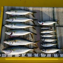 火遠理丸（ほおりまる） 釣果