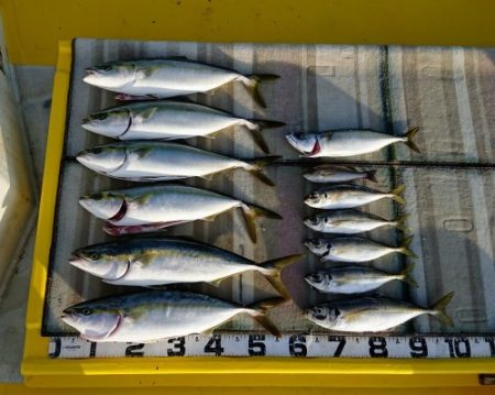 火遠理丸（ほおりまる） 釣果