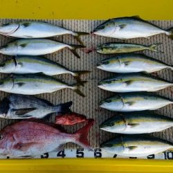 火遠理丸（ほおりまる） 釣果