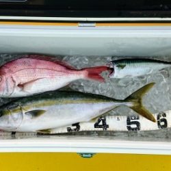 火遠理丸（ほおりまる） 釣果