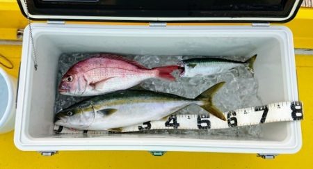 火遠理丸（ほおりまる） 釣果