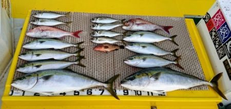 火遠理丸（ほおりまる） 釣果