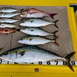 火遠理丸（ほおりまる） 釣果