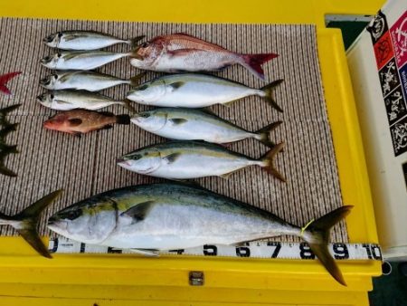 火遠理丸（ほおりまる） 釣果