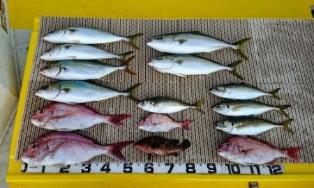 火遠理丸（ほおりまる） 釣果