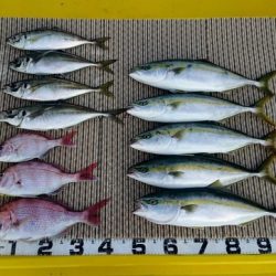 火遠理丸（ほおりまる） 釣果