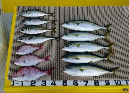 火遠理丸（ほおりまる） 釣果