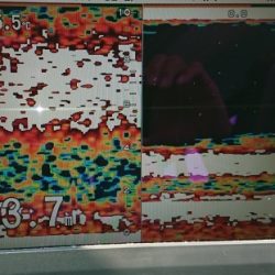 火遠理丸（ほおりまる） 釣果