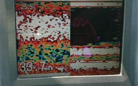 火遠理丸（ほおりまる） 釣果