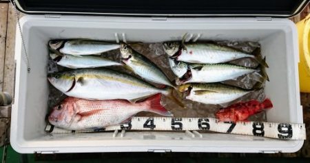 火遠理丸（ほおりまる） 釣果