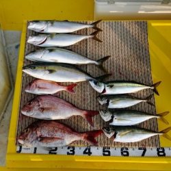 火遠理丸（ほおりまる） 釣果