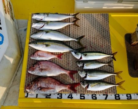 火遠理丸（ほおりまる） 釣果