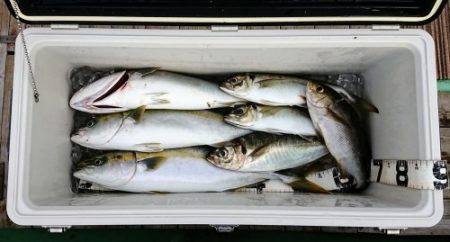 火遠理丸（ほおりまる） 釣果