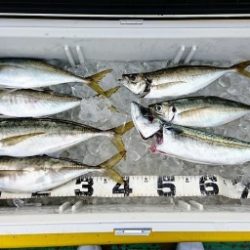 火遠理丸（ほおりまる） 釣果