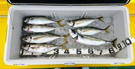 火遠理丸（ほおりまる） 釣果