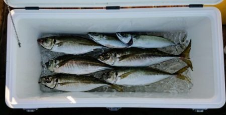 火遠理丸（ほおりまる） 釣果