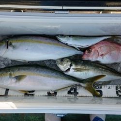 火遠理丸（ほおりまる） 釣果