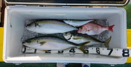 火遠理丸（ほおりまる） 釣果