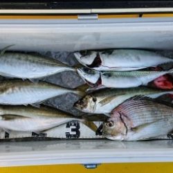 火遠理丸（ほおりまる） 釣果