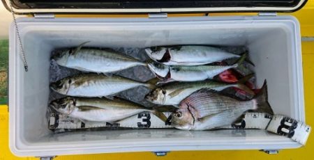 火遠理丸（ほおりまる） 釣果