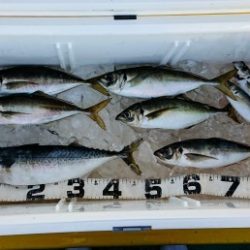 火遠理丸（ほおりまる） 釣果