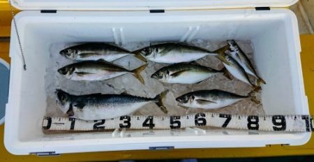 火遠理丸（ほおりまる） 釣果