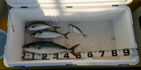 火遠理丸（ほおりまる） 釣果