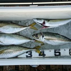 火遠理丸（ほおりまる） 釣果