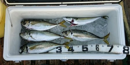 火遠理丸（ほおりまる） 釣果