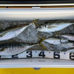 火遠理丸（ほおりまる） 釣果