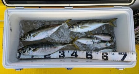 火遠理丸（ほおりまる） 釣果