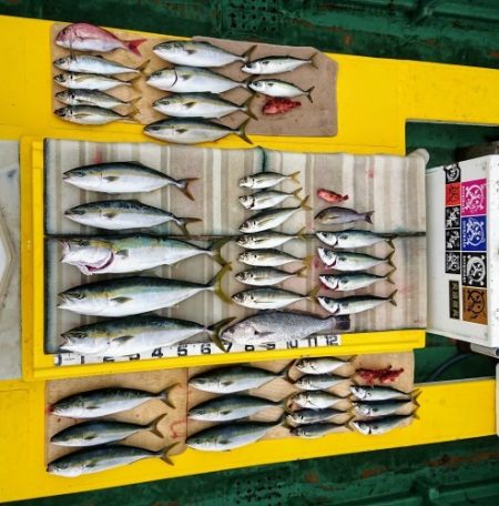 火遠理丸（ほおりまる） 釣果