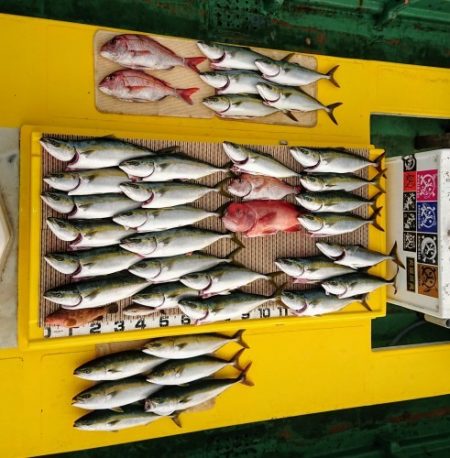 火遠理丸（ほおりまる） 釣果