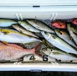 火遠理丸（ほおりまる） 釣果