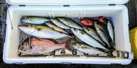 火遠理丸（ほおりまる） 釣果