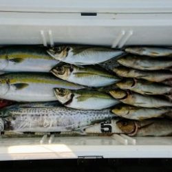 火遠理丸（ほおりまる） 釣果