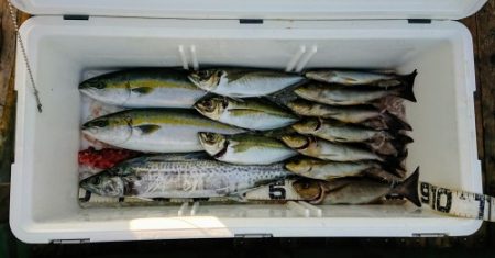 火遠理丸（ほおりまる） 釣果