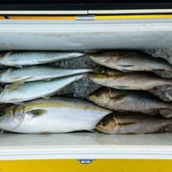 火遠理丸（ほおりまる） 釣果