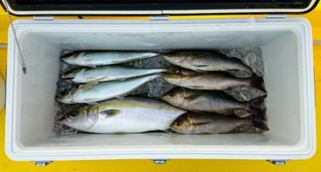 火遠理丸（ほおりまる） 釣果