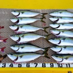 火遠理丸（ほおりまる） 釣果