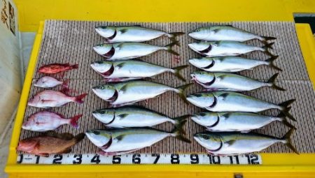 火遠理丸（ほおりまる） 釣果